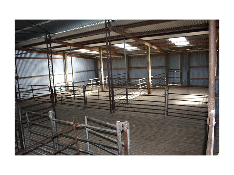 00 Princes Highway, Lucindale SA 5272