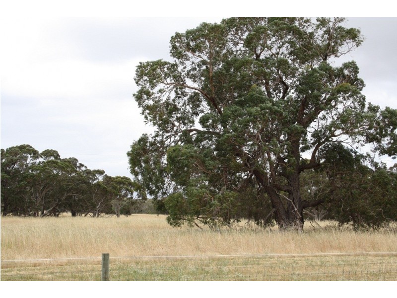 00 Naracoorte North, Naracoorte SA 5271