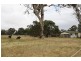 00 Naracoorte North, Naracoorte SA 5271