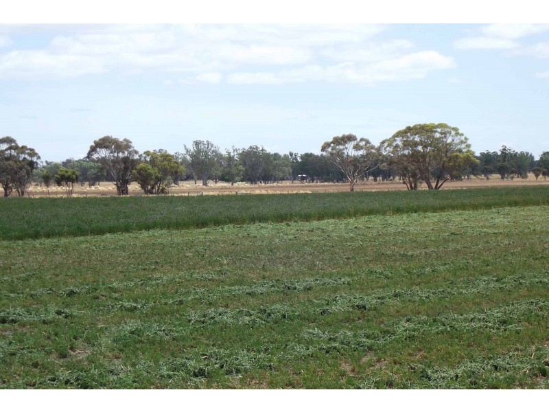 177 Moss Hinge Road, Mundulla SA 5270