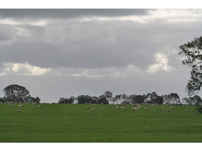 759 Kyby-Jessie Road, Kybybolite SA 5262