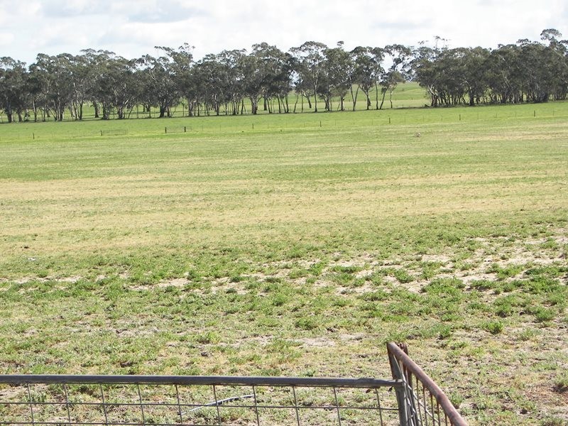 2397 Naracoorte Road, Western Flat SA 5268