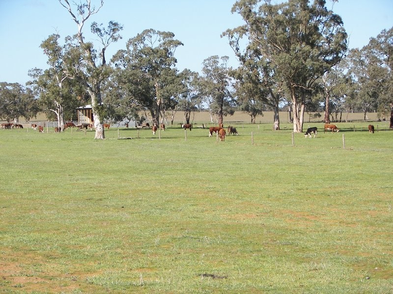 2397 Naracoorte Road, Western Flat SA 5268