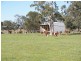 2397 Naracoorte Road, Western Flat SA 5268