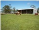 2397 Naracoorte Road, Western Flat SA 5268
