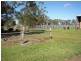2397 Naracoorte Road, Western Flat SA 5268