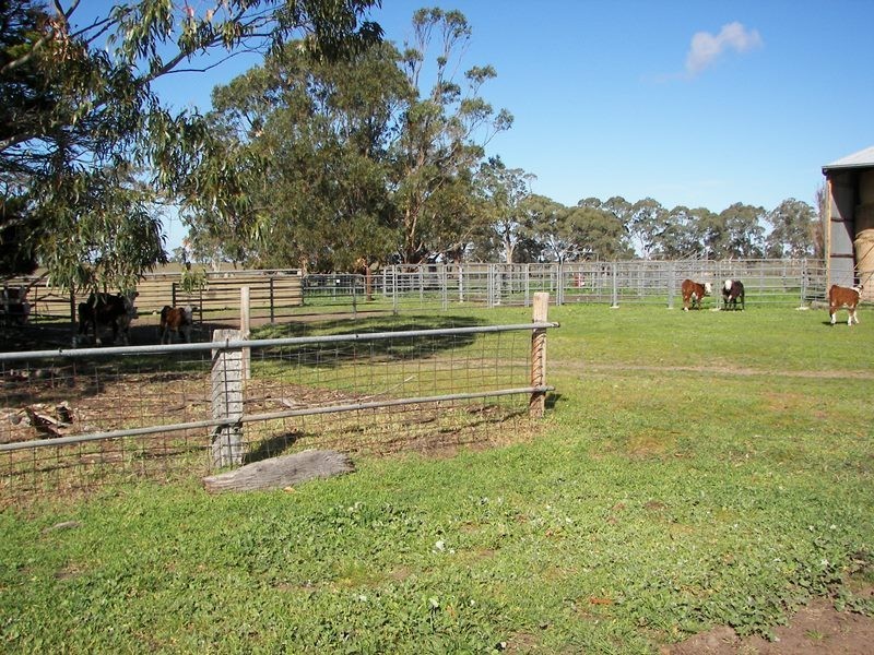 2397 Naracoorte Road, Western Flat SA 5268