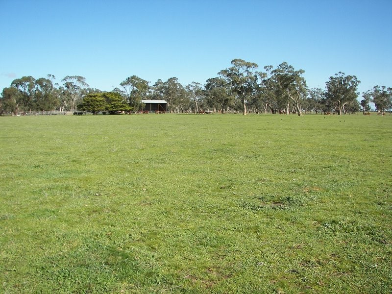 2397 Naracoorte Road, Western Flat SA 5268