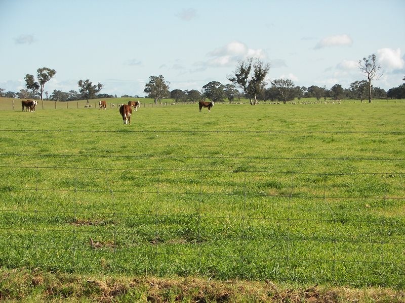 2397 Naracoorte Road, Western Flat SA 5268