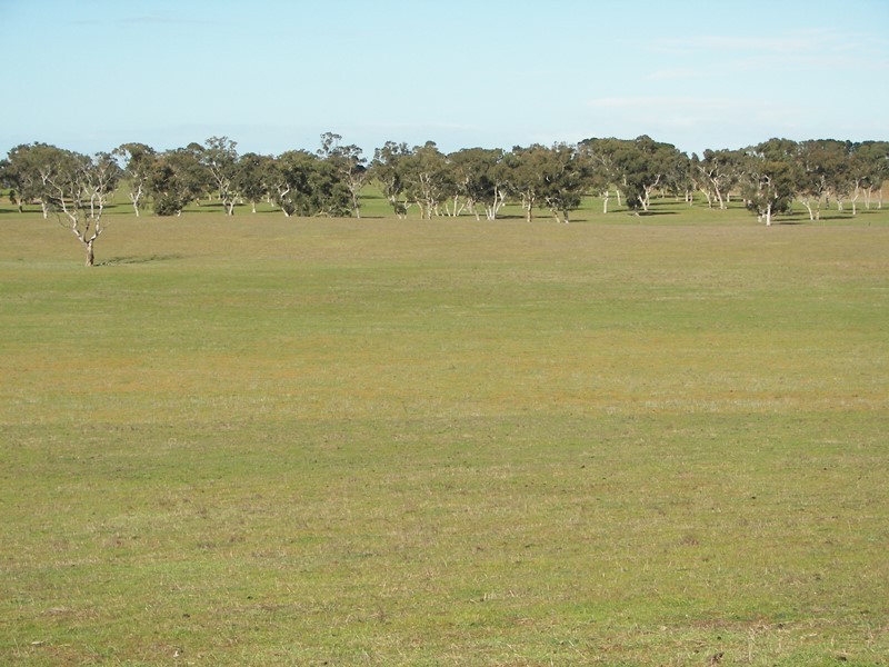 2397 Naracoorte Road, Western Flat SA 5268