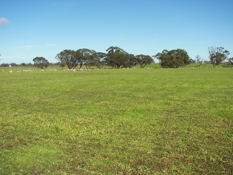 2397 Naracoorte Road, Western Flat SA 5268