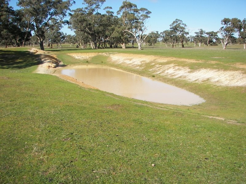 2397 Naracoorte Road, Western Flat SA 5268