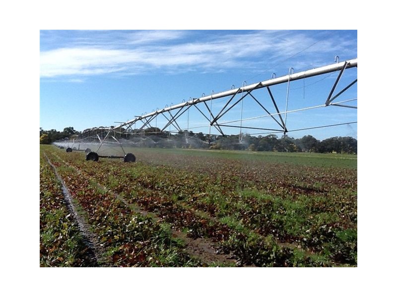 00 Elderslie Road, Naracoorte SA 5271