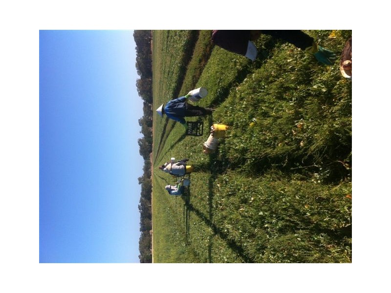 00 Elderslie Road, Naracoorte SA 5271