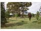1020 Boddington West Road, Naracoorte SA 5271