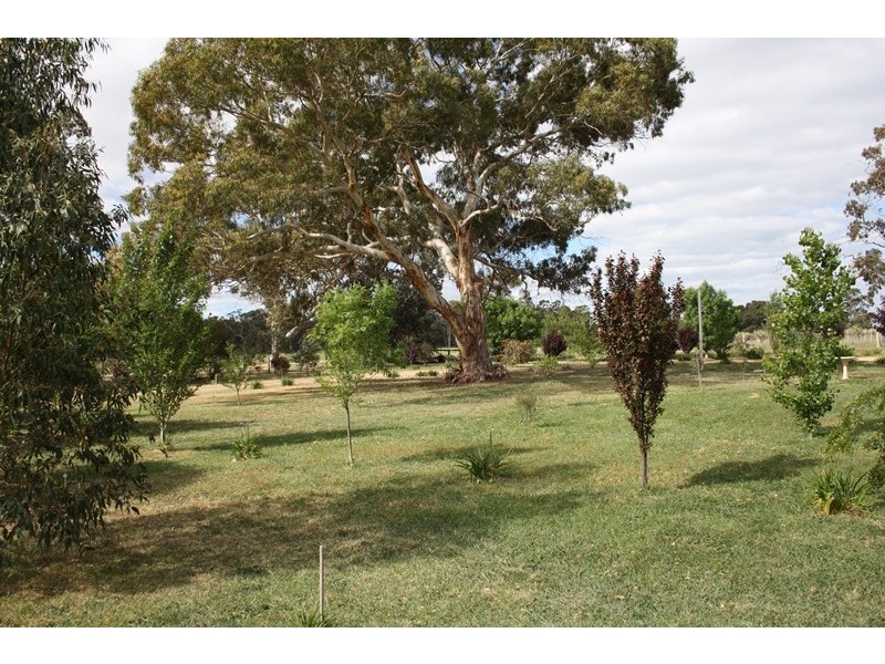 1020 Boddington West Road, Naracoorte SA 5271