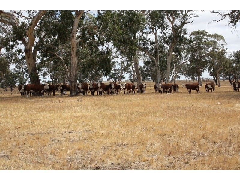 1020 Boddington West Road, Naracoorte SA 5271