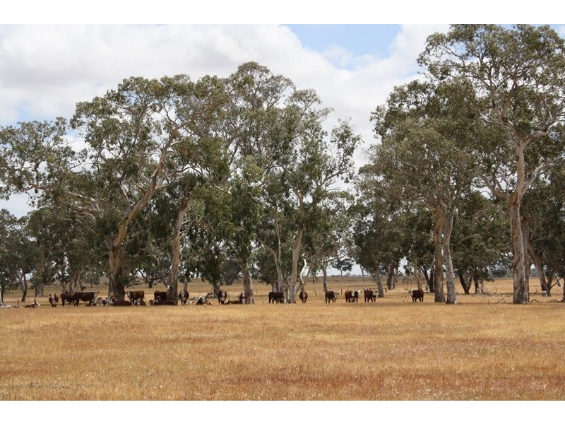 1020 Boddington West Road, Naracoorte SA 5271