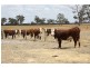 1020 Boddington West Road, Naracoorte SA 5271