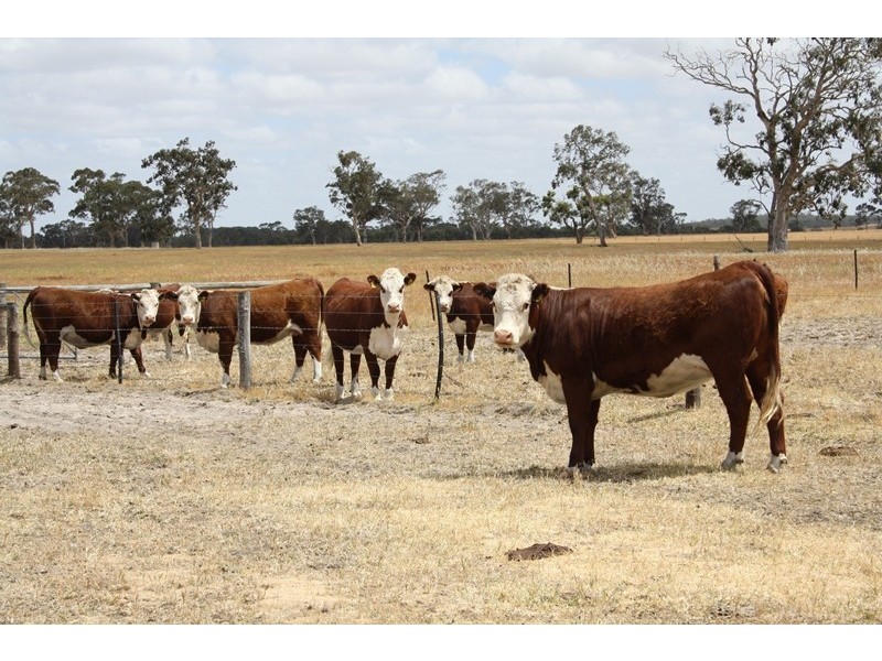 1020 Boddington West Road, Naracoorte SA 5271