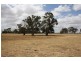 1020 Boddington West Road, Naracoorte SA 5271