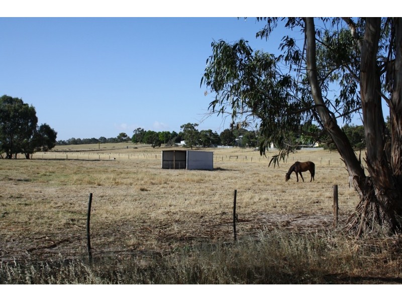 114 Old Caves Road, Naracoorte SA 5271