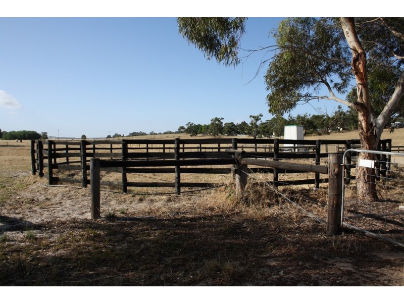114 Old Caves Road, Naracoorte SA 5271