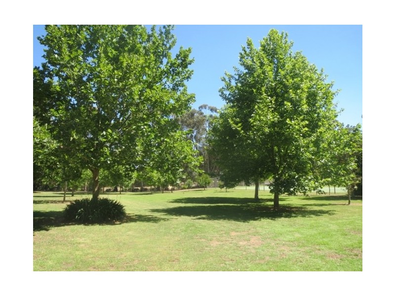 160 Gordon Street, Naracoorte SA 5271