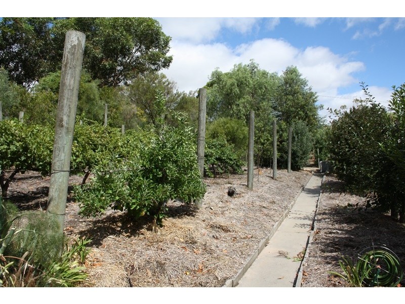 12 Union Crescent, Naracoorte SA 5271