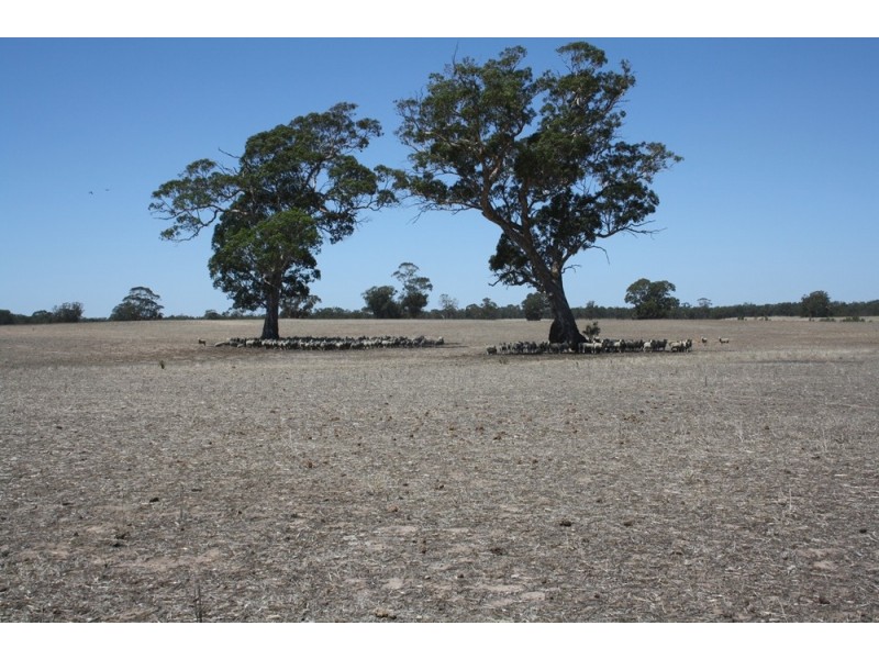 “Lords” Gerrickes Road, Benayeo VIC 3319