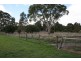 202 Gordon Street, Naracoorte SA 5271