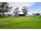“Cooinda” Home of “Johnos” Studs, Keith SA 5267