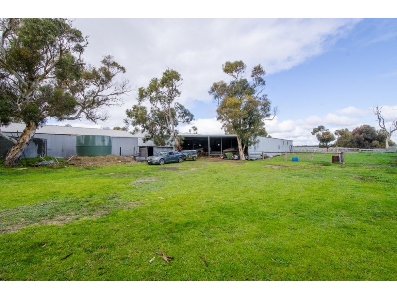 “Cooinda” Home of “Johnos” Studs, Keith SA 5267