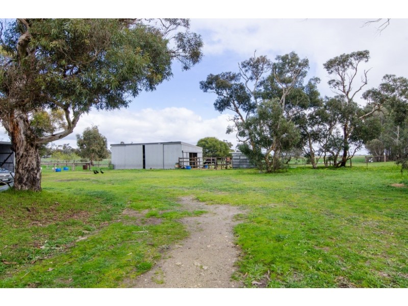 “Cooinda” Home of “Johnos” Studs, Keith SA 5267