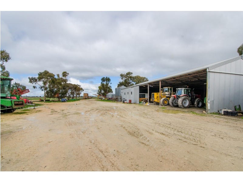 “Cooinda” Home of “Johnos” Studs, Keith SA 5267