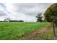 “Cooinda” Home of “Johnos” Studs, Keith SA 5267