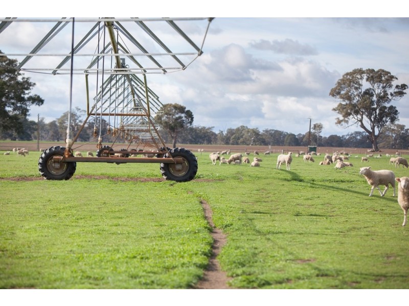 00 Kyby Jessie Road, Kybybolite SA 5262