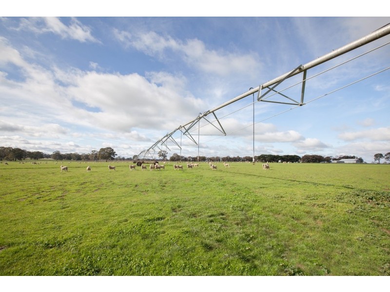 00 Kyby Jessie Road, Kybybolite SA 5262