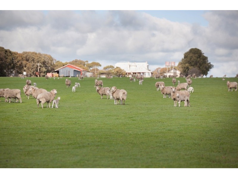 00 Kyby Jessie Road, Kybybolite SA 5262