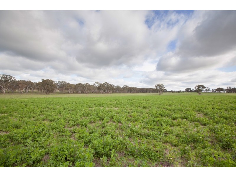 00 Kyby Jessie Road, Kybybolite SA 5262