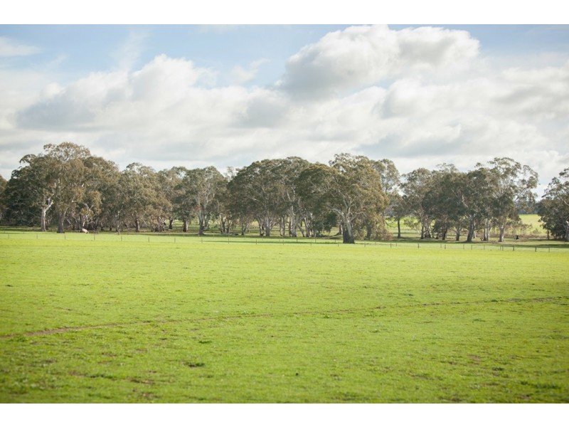 00 Kyby Jessie Road, Kybybolite SA 5262