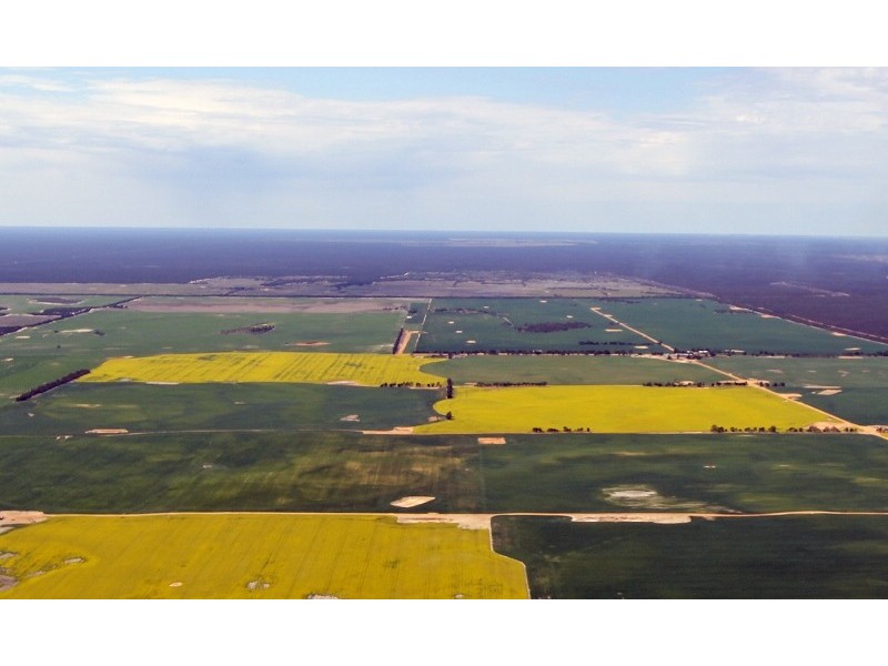 00 “New Wallowa Downs”, Kaniva VIC 3419