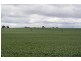 00 “New Wallowa Downs”, Kaniva VIC 3419