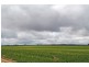 00 “New Wallowa Downs”, Kaniva VIC 3419