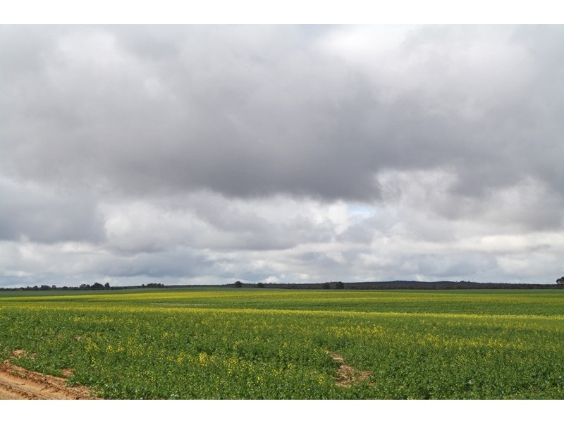 00 “New Wallowa Downs”, Kaniva VIC 3419