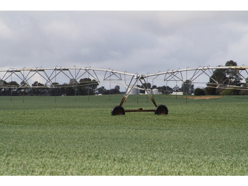 00 “New Wallowa Downs”, Kaniva VIC 3419