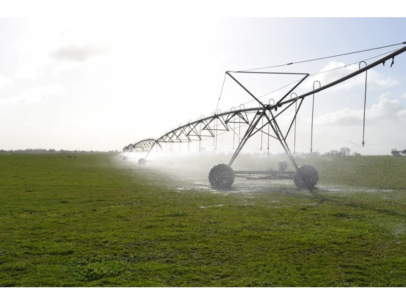 235 “Box Hill” Jabe Williams Road, Lucindale SA 5272