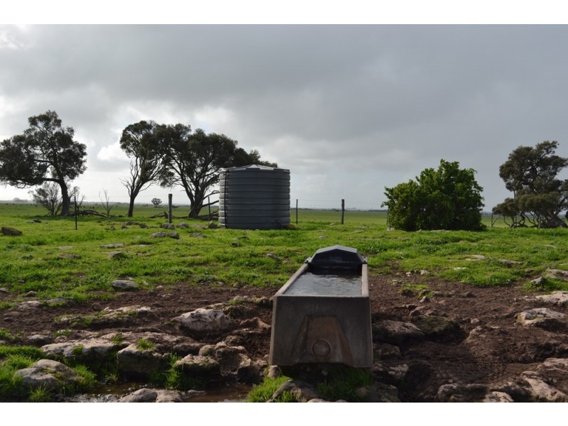 235 “Box Hill” Jabe Williams Road, Lucindale SA 5272