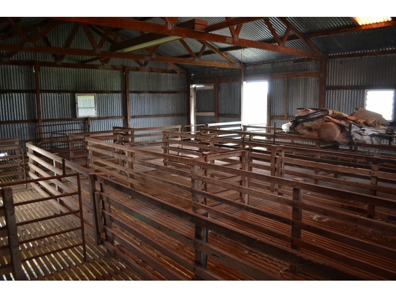 235 “Box Hill” Jabe Williams Road, Lucindale SA 5272