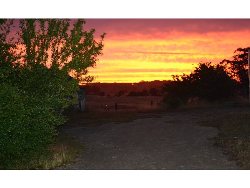 235 “Box Hill” Jabe Williams Road, Lucindale SA 5272